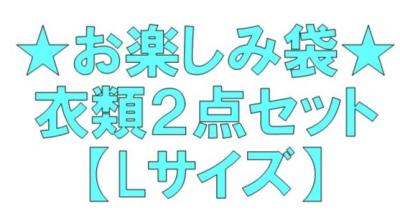 ★お楽しみ袋★衣類２点セット【Lサイズ】