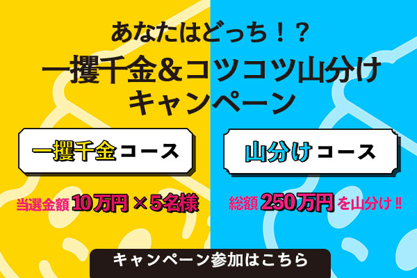 納得できる割引 あじ様 ご確認用ページ ファッション雑貨 Www Mnksa Com